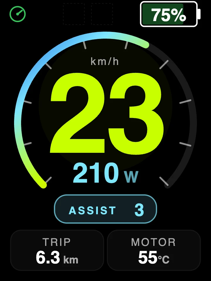 FabiRide Ring dashboard